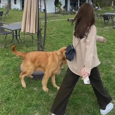 生活残骸